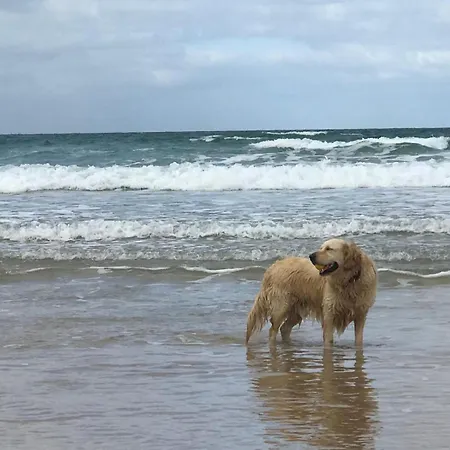 Rincon Knaya Parejas Y Familias 콘일데라프론테라